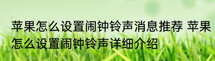 苹果怎么设置闹钟铃声消息推荐 苹果怎么设置闹钟铃声详细介绍