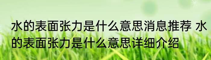 水的表面张力是什么意思消息推荐 水的表面张力是什么意思详细介绍
