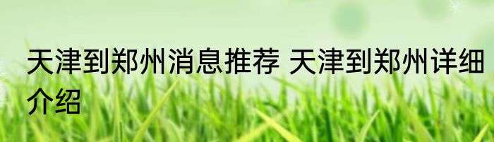 天津到郑州消息推荐 天津到郑州详细介绍