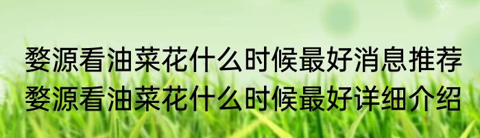 婺源看油菜花什么时候最好消息推荐 婺源看油菜花什么时候最好详细介绍