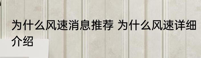 为什么风速消息推荐 为什么风速详细介绍