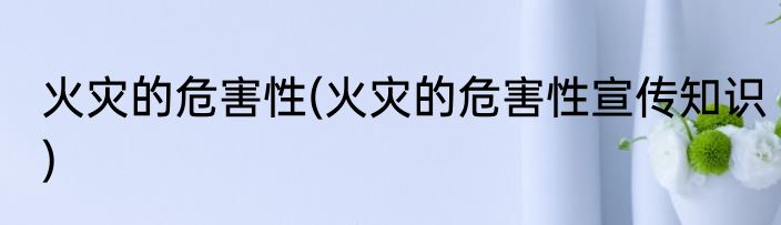 火灾的危害性(火灾的危害性宣传知识)