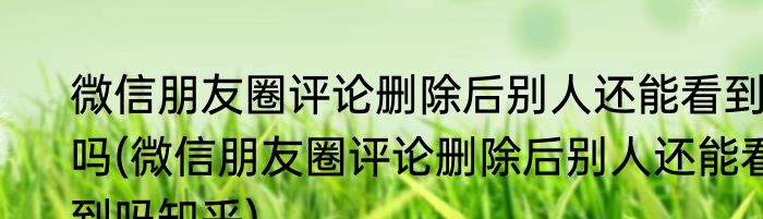 微信朋友圈评论删除后别人还能看到吗(微信朋友圈评论删除后别人还能看到吗知乎)