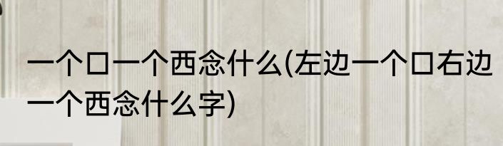 一个口一个西念什么(左边一个口右边一个西念什么字)