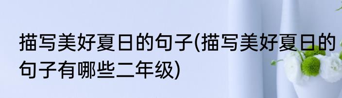 描写美好夏日的句子(描写美好夏日的句子有哪些二年级)