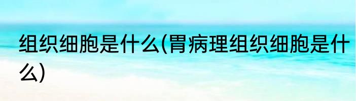 组织细胞是什么(胃病理组织细胞是什么)