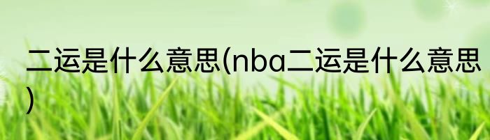 二运是什么意思(nba二运是什么意思)