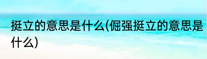 挺立的意思是什么(倔强挺立的意思是什么)