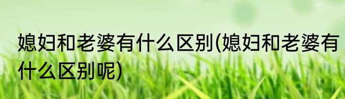 媳妇和老婆有什么区别(媳妇和老婆有什么区别呢)
