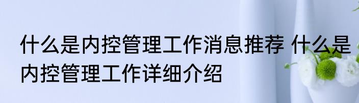 什么是内控管理工作消息推荐 什么是内控管理工作详细介绍