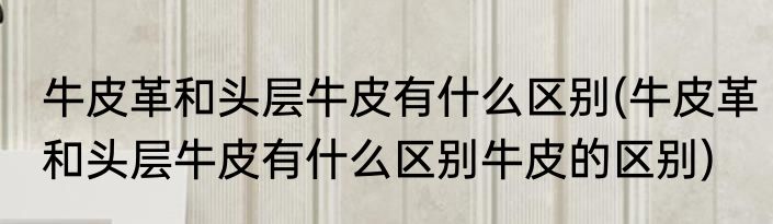 牛皮革和头层牛皮有什么区别(牛皮革和头层牛皮有什么区别牛皮的区别)