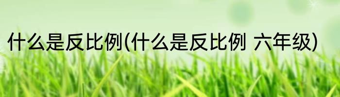 什么是反比例(什么是反比例 六年级)