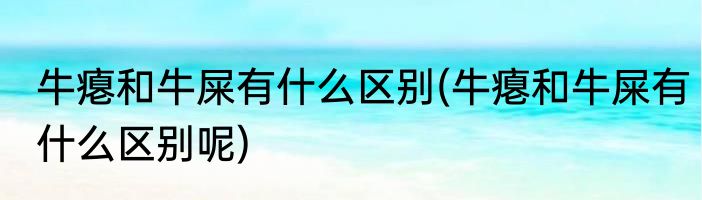 牛瘪和牛屎有什么区别(牛瘪和牛屎有什么区别呢)