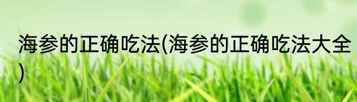 海参的正确吃法(海参的正确吃法大全)