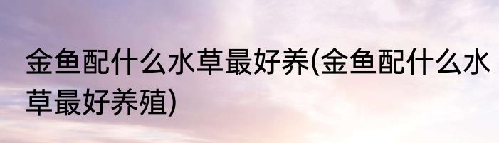 金鱼配什么水草最好养(金鱼配什么水草最好养殖)