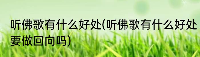 听佛歌有什么好处(听佛歌有什么好处要做回向吗)