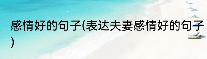 感情好的句子(表达夫妻感情好的句子)