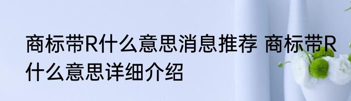 商标带R什么意思消息推荐 商标带R什么意思详细介绍