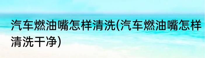 汽车燃油嘴怎样清洗(汽车燃油嘴怎样清洗干净)