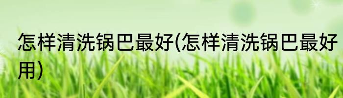 怎样清洗锅巴最好(怎样清洗锅巴最好用)