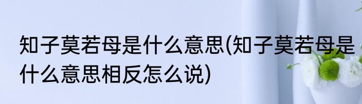 知子莫若母是什么意思(知子莫若母是什么意思相反怎么说)