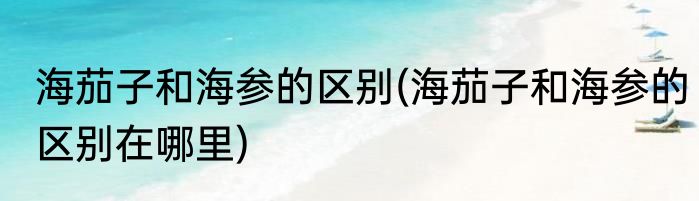 海茄子和海参的区别(海茄子和海参的区别在哪里)