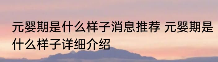 元婴期是什么样子消息推荐 元婴期是什么样子详细介绍