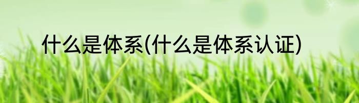 什么是体系(什么是体系认证)