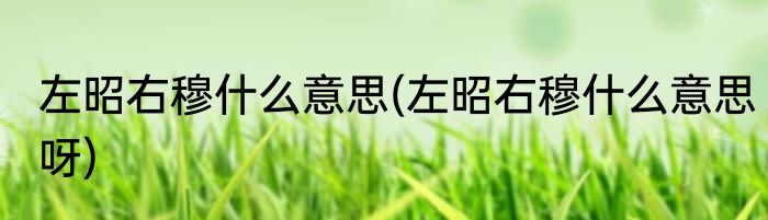 左昭右穆什么意思(左昭右穆什么意思呀)