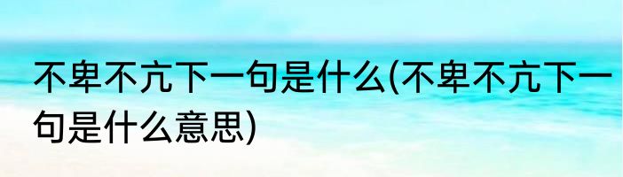 不卑不亢下一句是什么(不卑不亢下一句是什么意思)