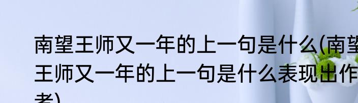 南望王师又一年的上一句是什么(南望王师又一年的上一句是什么表现出作者)
