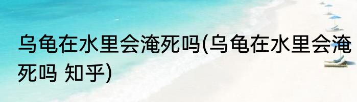 乌龟在水里会淹死吗(乌龟在水里会淹死吗 知乎)