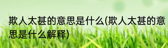 欺人太甚的意思是什么(欺人太甚的意思是什么解释)