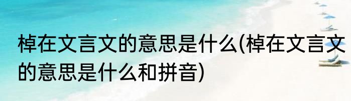棹在文言文的意思是什么(棹在文言文的意思是什么和拼音)