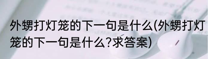 外甥打灯笼的下一句是什么(外甥打灯笼的下一句是什么?求答案)