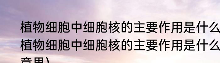 植物细胞中细胞核的主要作用是什么(植物细胞中细胞核的主要作用是什么意思)