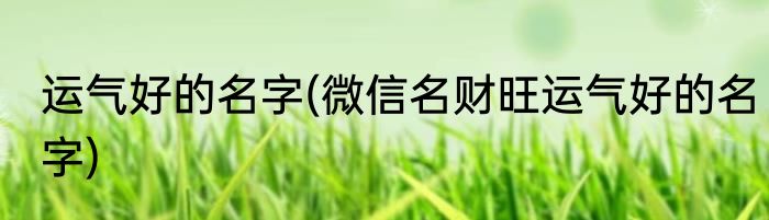 运气好的名字(微信名财旺运气好的名字)
