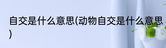 自交是什么意思(动物自交是什么意思)