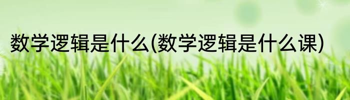 数学逻辑是什么(数学逻辑是什么课)