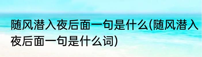 随风潜入夜后面一句是什么(随风潜入夜后面一句是什么词)