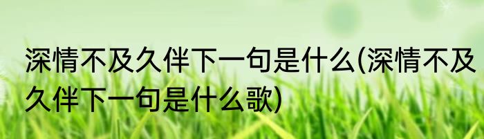 深情不及久伴下一句是什么(深情不及久伴下一句是什么歌)
