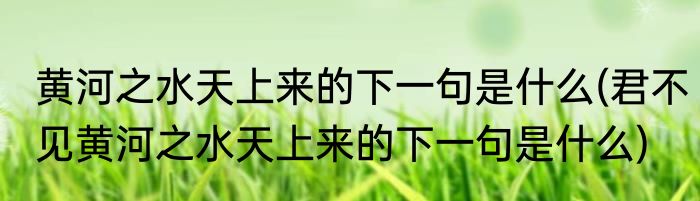 黄河之水天上来的下一句是什么(君不见黄河之水天上来的下一句是什么)