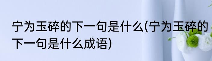 宁为玉碎的下一句是什么(宁为玉碎的下一句是什么成语)