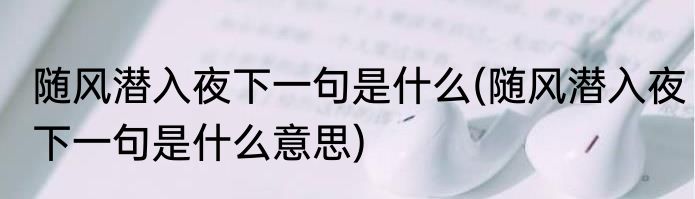 随风潜入夜下一句是什么(随风潜入夜下一句是什么意思)