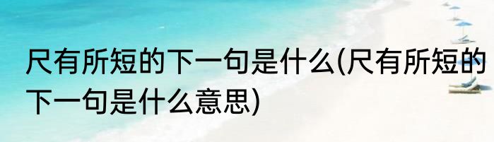 尺有所短的下一句是什么(尺有所短的下一句是什么意思)