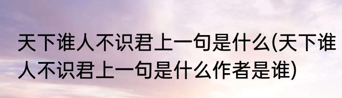 天下谁人不识君上一句是什么(天下谁人不识君上一句是什么作者是谁)