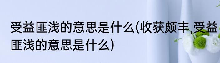 受益匪浅的意思是什么(收获颇丰,受益匪浅的意思是什么)