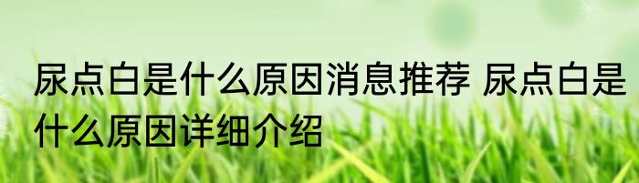 尿点白是什么原因消息推荐 尿点白是什么原因详细介绍