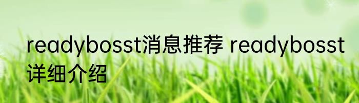 readybosst消息推荐 readybosst详细介绍