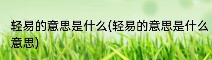 轻易的意思是什么(轻易的意思是什么意思)